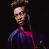 Mlindo The Vocalist