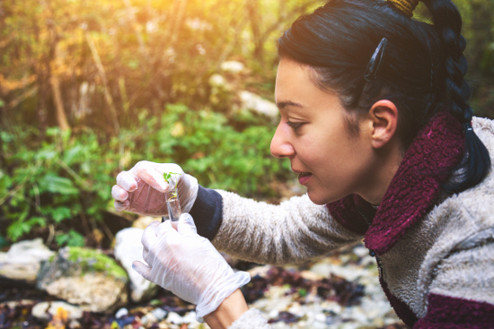 5 Reasons Why There Is A Career For You In Forestry Or Forest Products