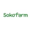 Sokofarm, an agribusiness enterprise based in Kisumu, is dedicated to promoting sustainable agriculture, food security, and climate action. Our primary goal is to address food security challenges by offering sustainable solutions while simultaneously creating employment opportunities for communities. In line with this, our women empowerment initiative provides women with access to labor opportunities and credit from our farm produce. We have been involved majorly in African leafy vegetables, the mboga kienyeji.